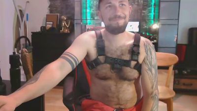 Re_Versatile webcam model stream image