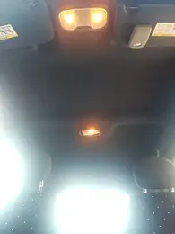 Paradice7 webcam model stream image