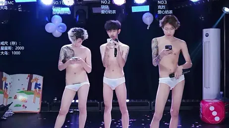 AOA-TOD webcam model stream image