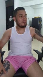 _LIONEL_ webcam model stream image