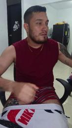 _LIONEL_ webcam model stream image