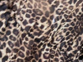 -Molly- webcam bongacams model stream image