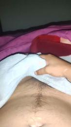 Pollatroni webcam model stream image