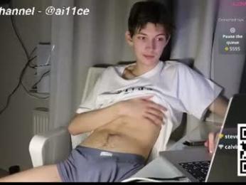 ai11ce webcam model stream image