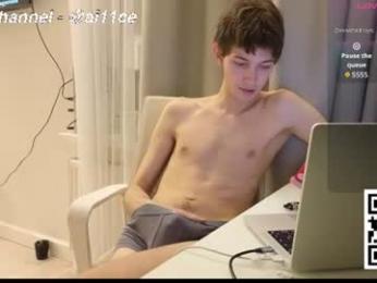 ai11ce webcam model stream image
