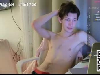 ai11ce webcam model stream image
