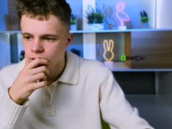 veldi_to webcam model stream image