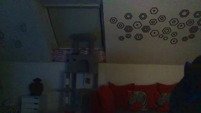schugga1 webcam model stream image