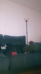 felipedavidtgn2 webcam cam4 model stream image