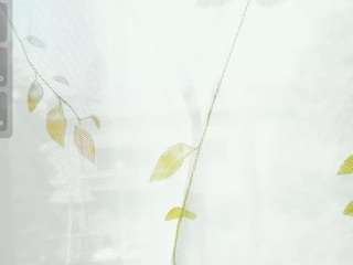 sassyt33n webcam model stream image