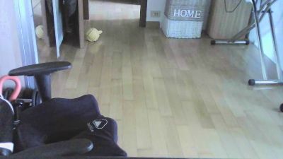 Bongone24 webcam cam4 model stream image