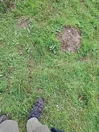 FreezingTie850 webcam stripchat model stream image