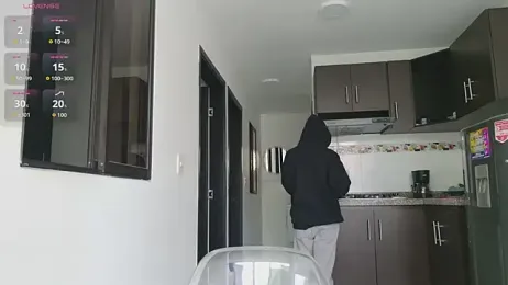 grey___27 webcam model stream image