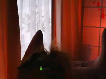 -ANN webcam model stream image