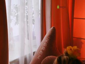 -ANN webcam model stream image