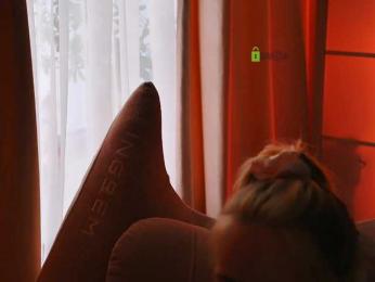 -ANN webcam model stream image