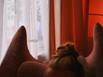 -ANN webcam model stream image