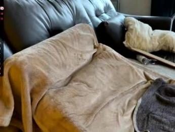 ericeric507 webcam chaturbate model stream image