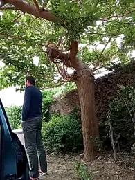 BZH45 webcam model stream image