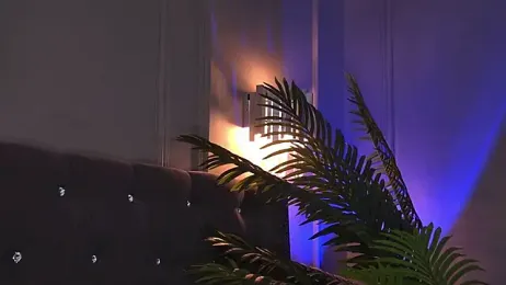 AriWild webcam model stream image