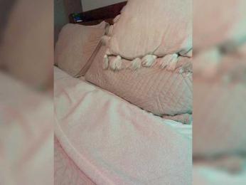 LunaCarmel809 webcam bongacams model stream image
