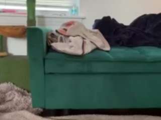 itstaylorofficial webcam model stream image