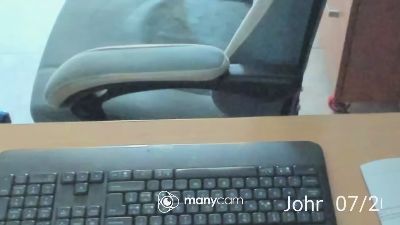 porcone774 webcam model stream image