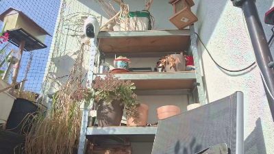 sweetnude83 webcam model stream image