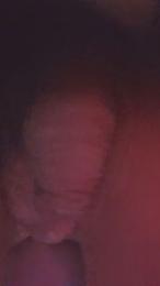 Nikomoris webcam model stream image