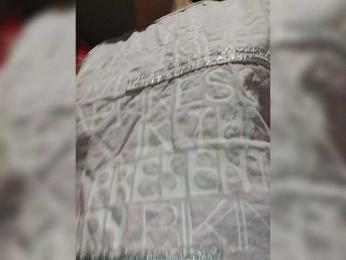 Xo4y-SeXa webcam model stream image