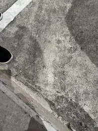 Lucky-cat88 webcam model stream image