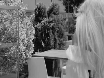 Lynx webcam model stream image