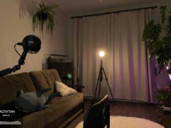 SOVA_tut webcam model stream image