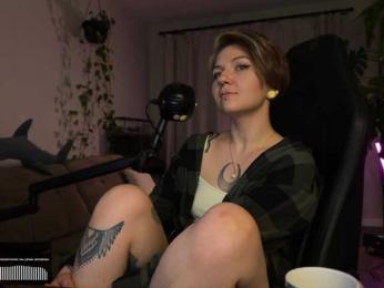 SOVA_tut webcam model stream image