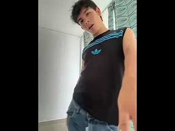Blum_icee webcam model stream image