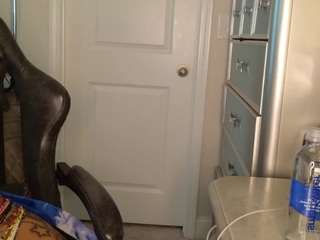 butterflybooty webcam model stream image