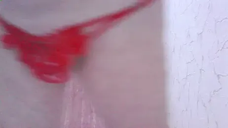 svvs27 webcam model stream image