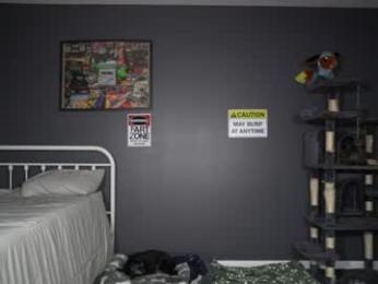 sydaffect webcam model stream image
