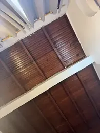 emiss_ webcam model stream image