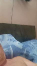 pianet1 webcam model stream image