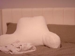 Emeree Lakes webcam model stream image