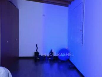 nicollbashel webcam chaturbate model stream image