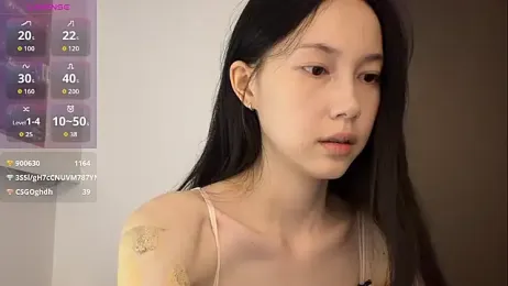 DD-5200 webcam model stream image
