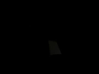 cinnamonbunniiii webcam model stream image