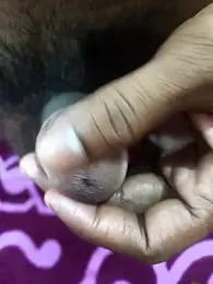 rameshjisex webcam model stream image