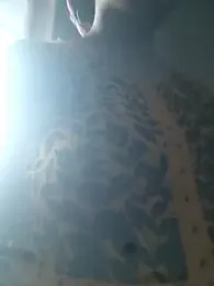 Younger_Couples webcam model stream image