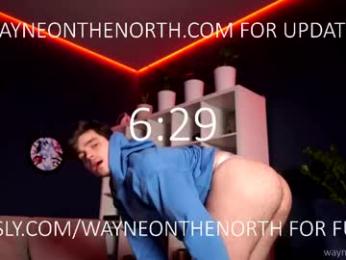 waynenorth webcam chaturbate model stream image