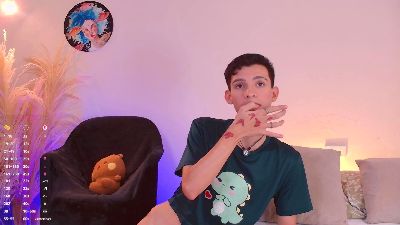 VicenteFerrer webcam model stream image