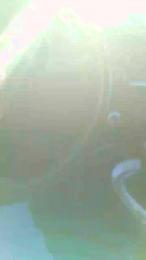 slipbagnato webcam model stream image
