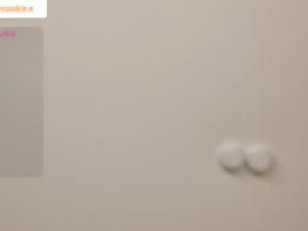 fixielu webcam model stream image